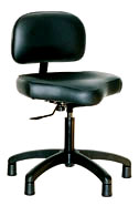 SoundSeat with Back
